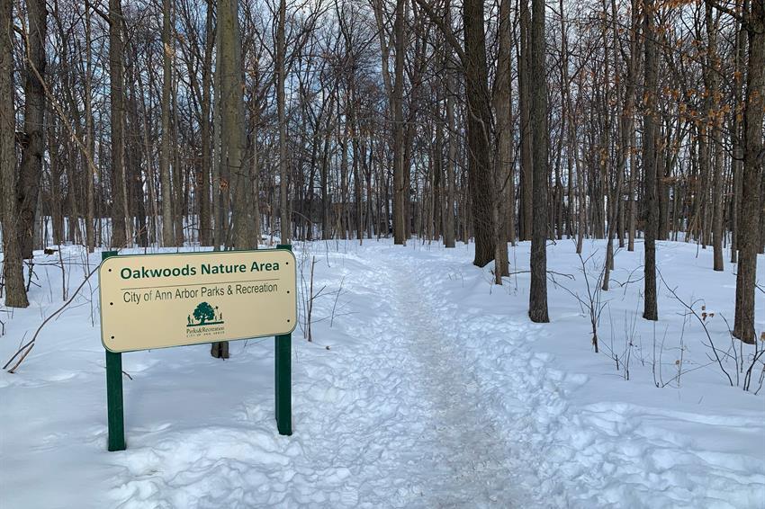 Oakwoods Nature Area 3