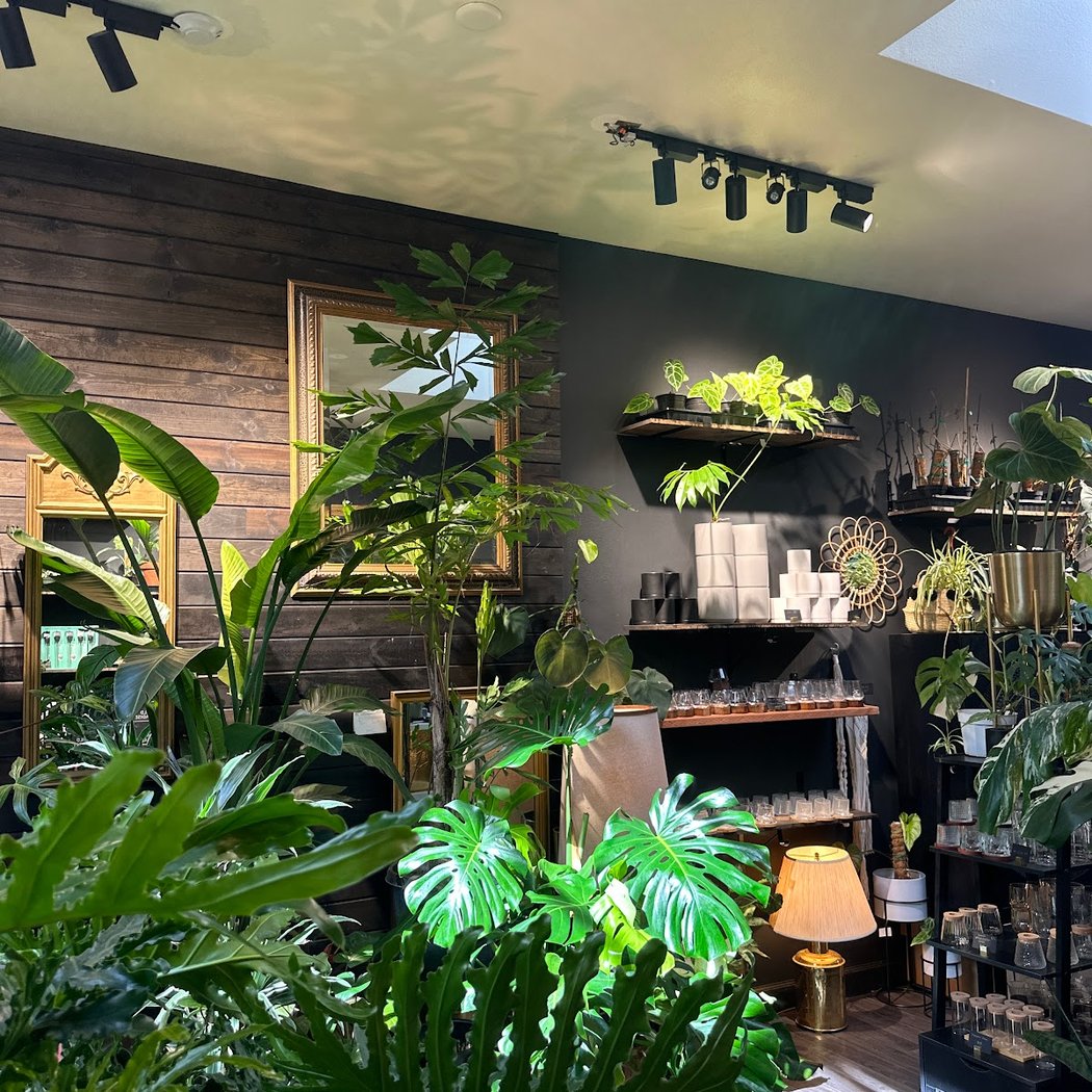 House of botanicals 2