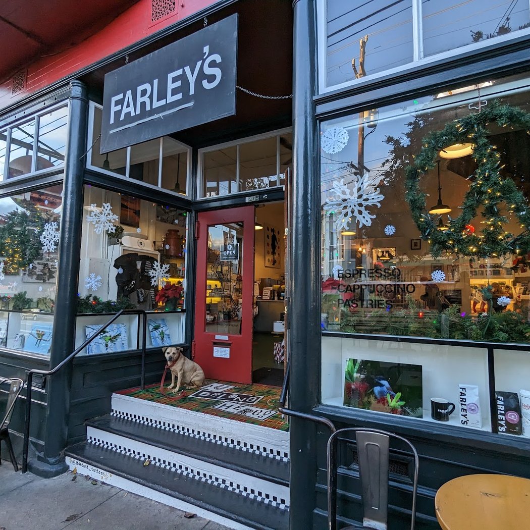 Farley’s Annual Halloween Pet Parade and St. Patrick’s Day Bagpipes 1