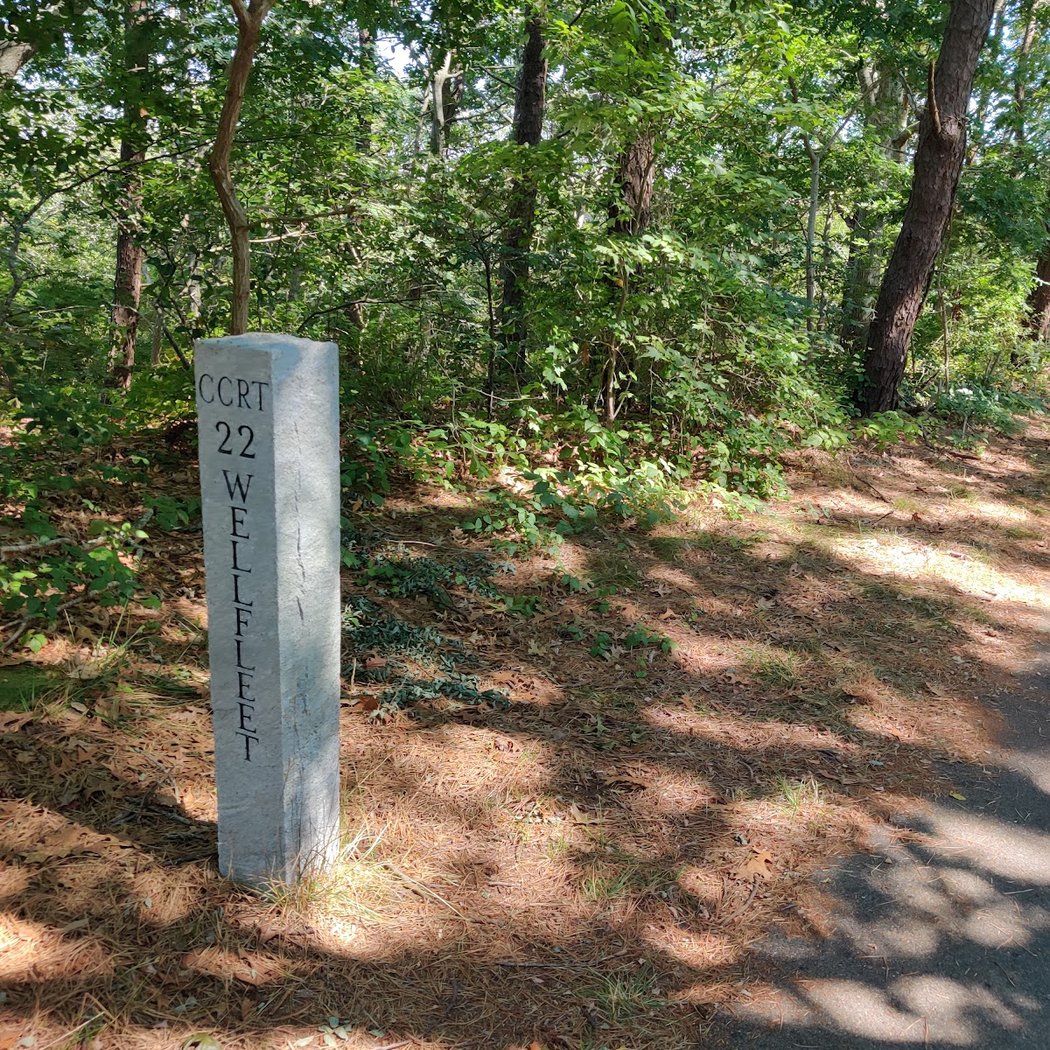 Cape Cod Rail Trail 2