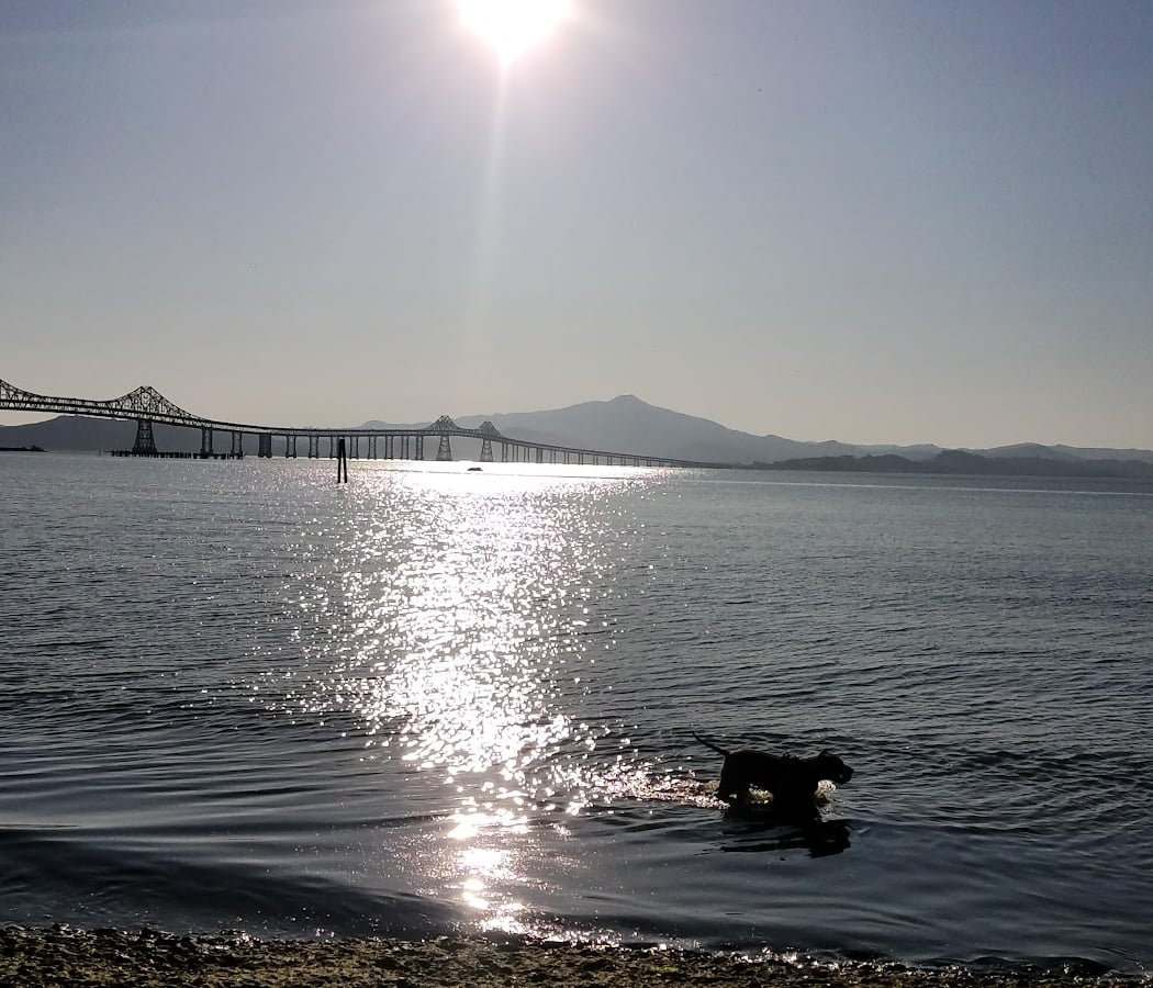 Point Molate Beach Park 1