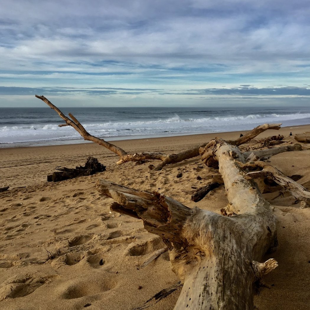 Plage d'Ondres 1