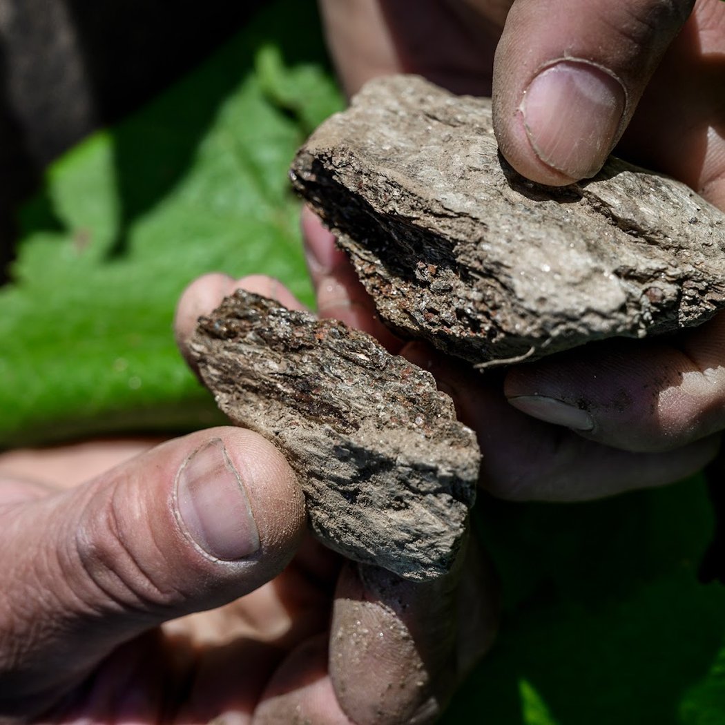 Domaine Landron Chartier 1