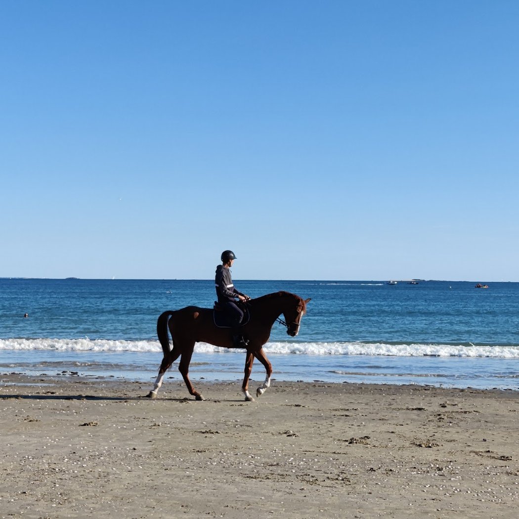 Plage de la Baule 1