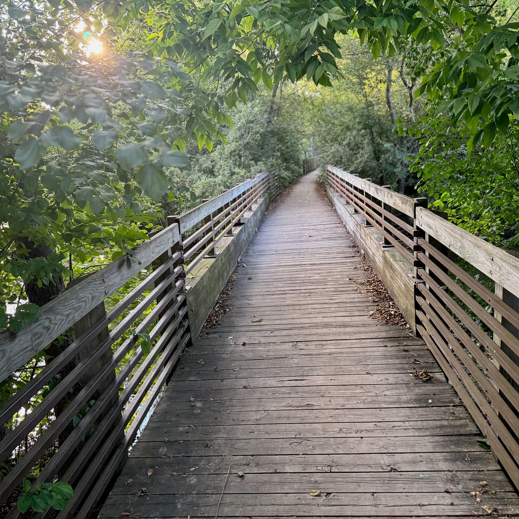 Furstenberg Nature Area 3