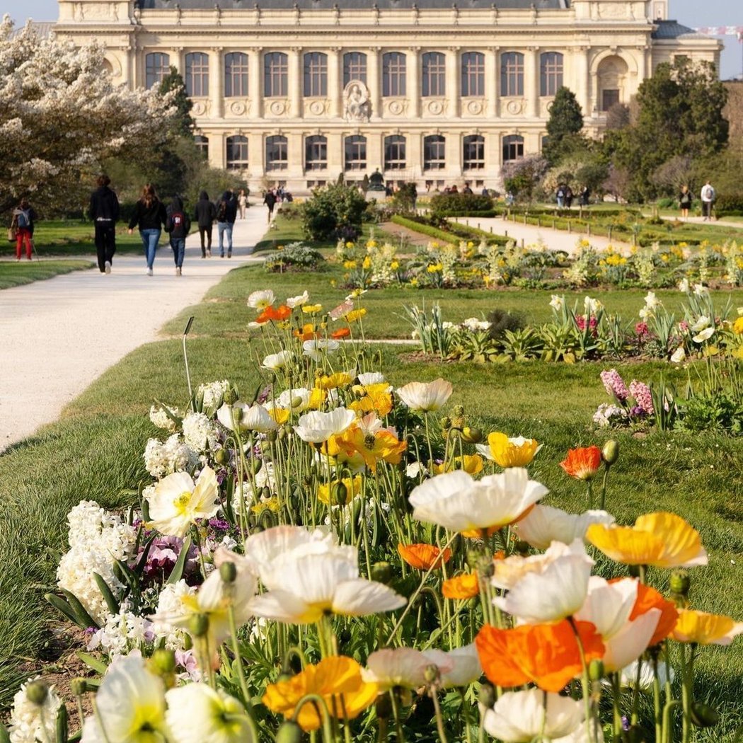 Au Jardin des Plantes à Paris, la nature se fête en grand