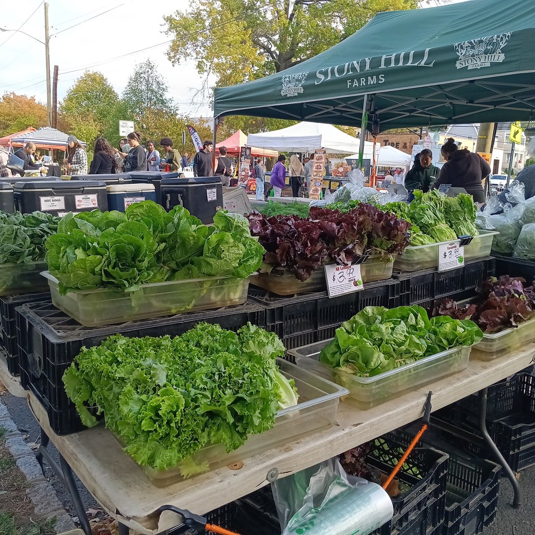 Maplewood Farmers Market 2