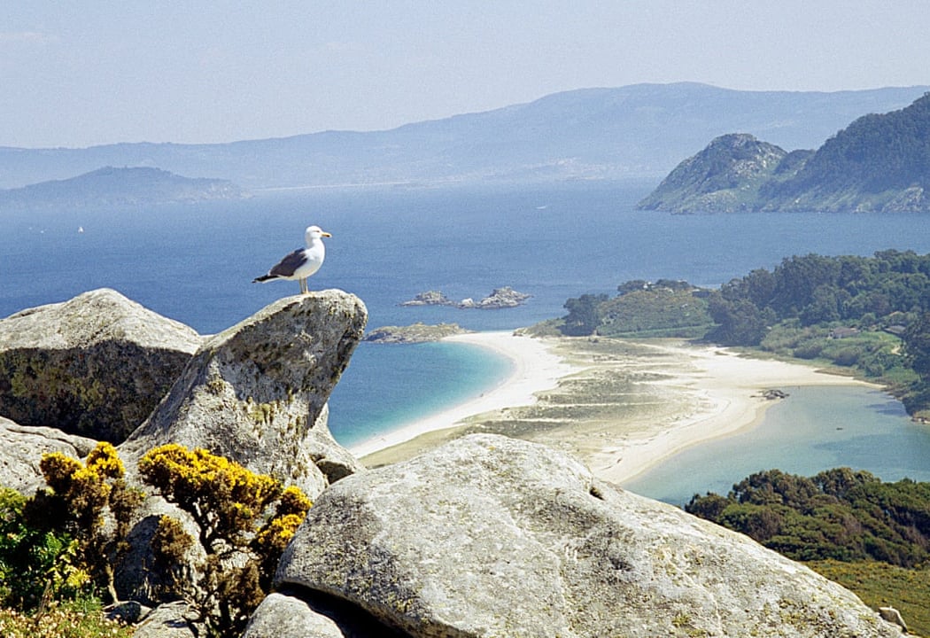 Excursión a las Islas Cíes 2