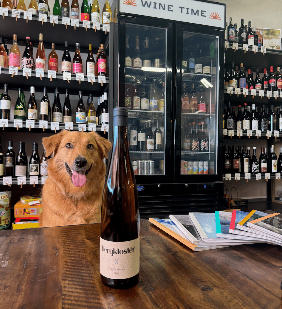 Pets and Pints 1