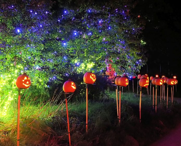 Jack-O'-Lantern Nights 2