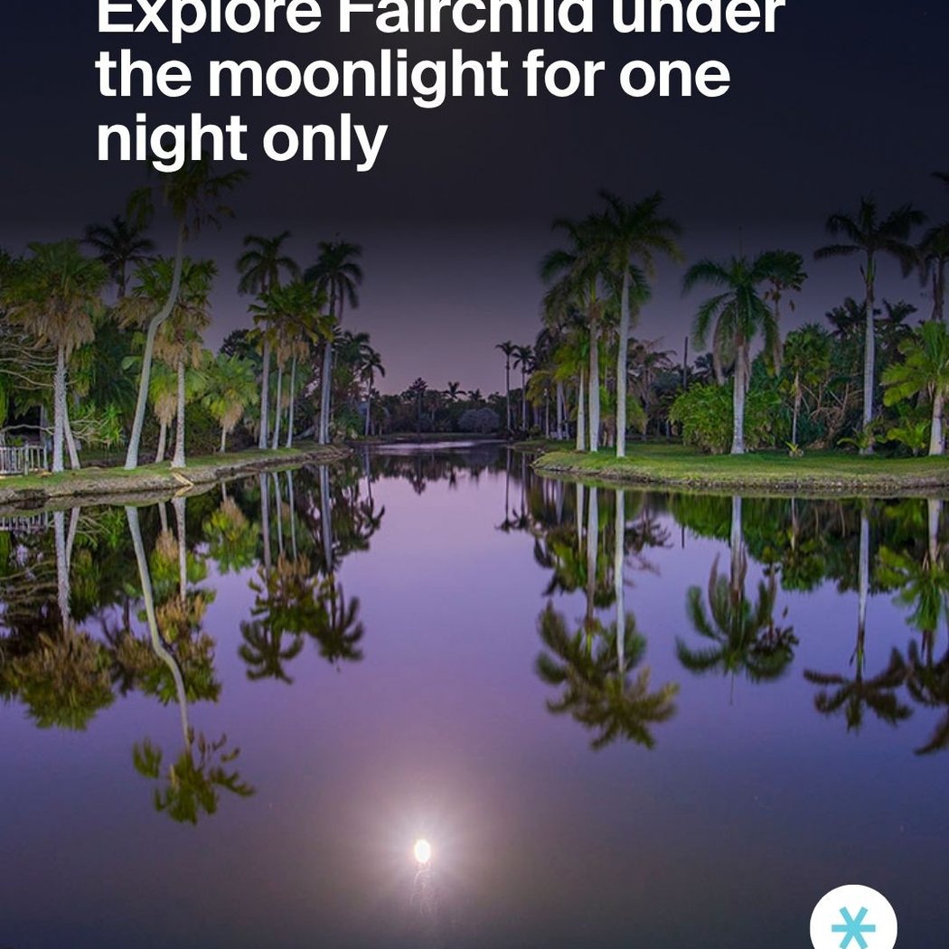 Explore Fairchild under the moonlight 1