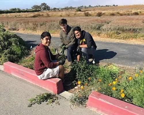 Volunteer Outside with Grassroots Ecology 2