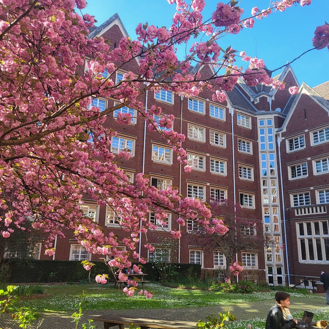 Collège Franco-Britannique 1