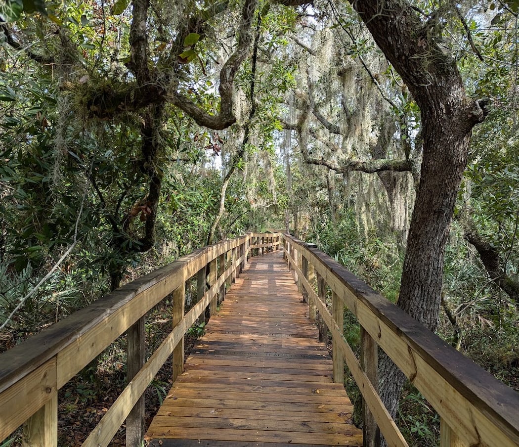 Turkey Creek Sanctuary 2
