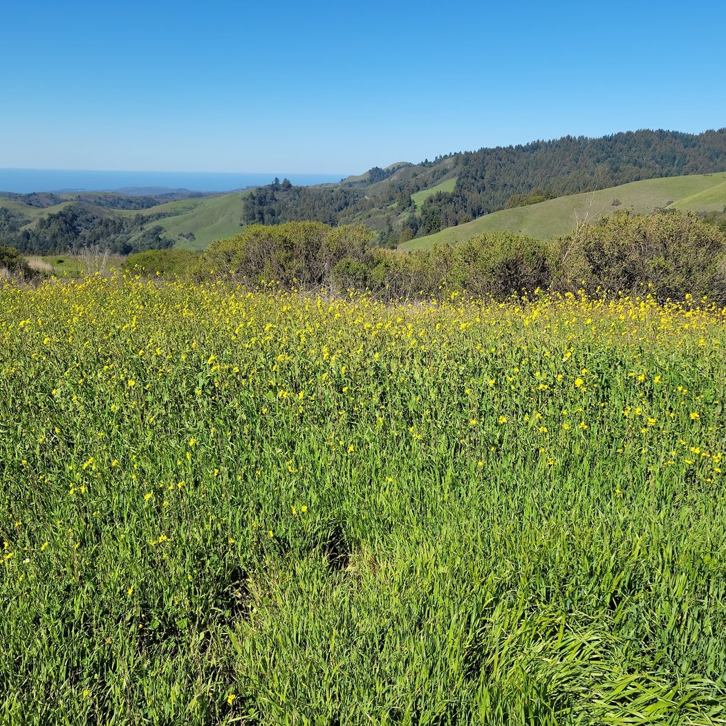 Alpine Trail (Trailhead) 1