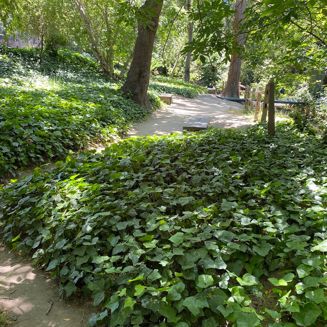De Anza Historical Park 1