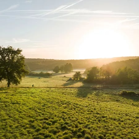 Vallée de Chevreuse 4
