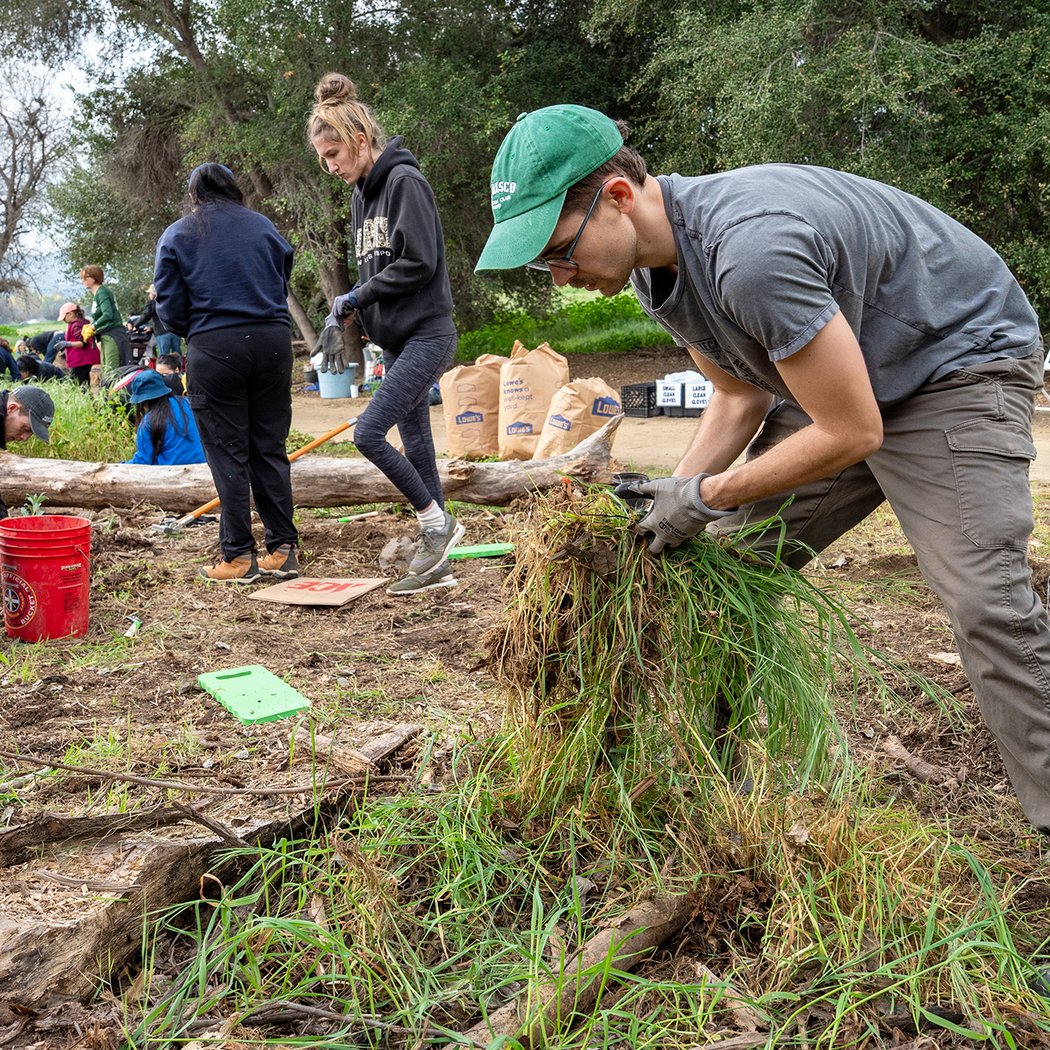 Invasive Plant Pull 1