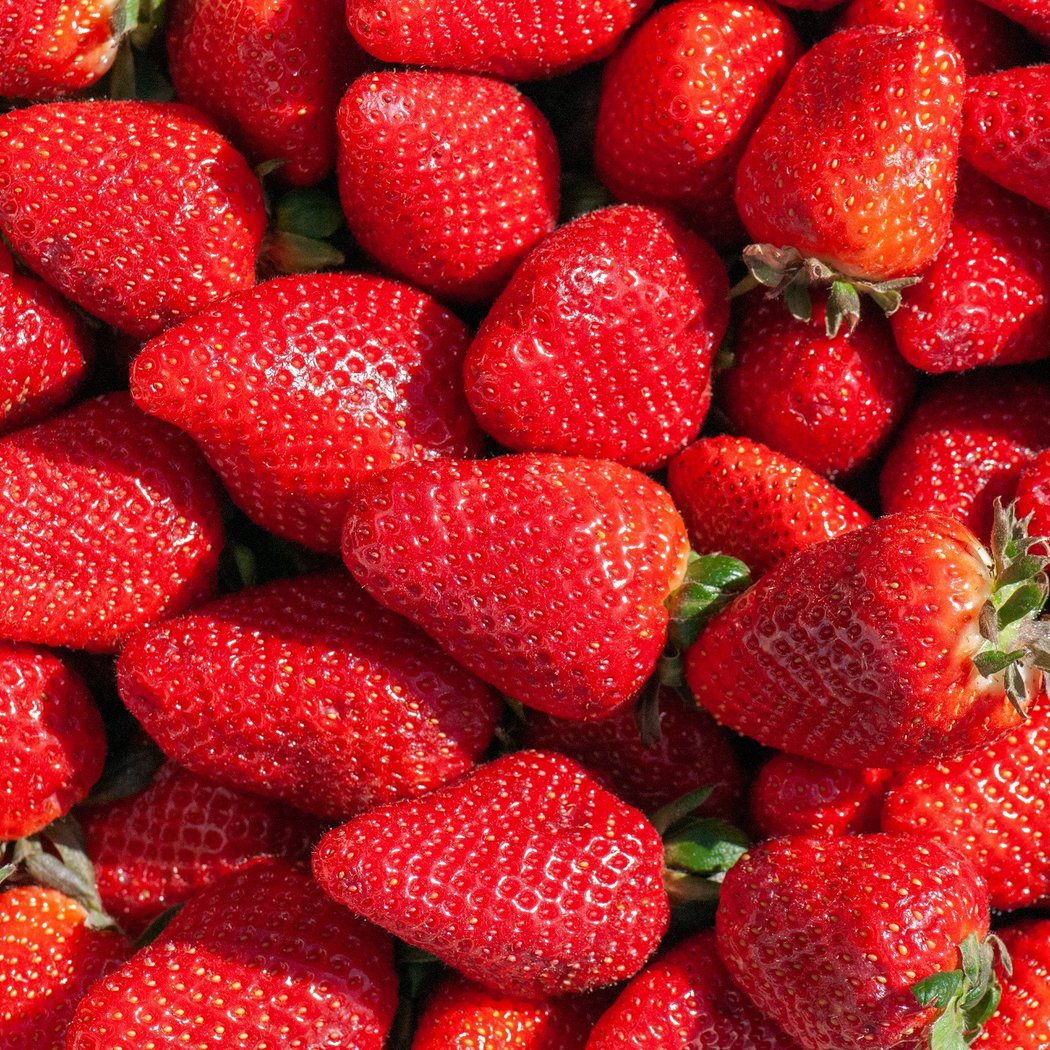 Mercadito 1