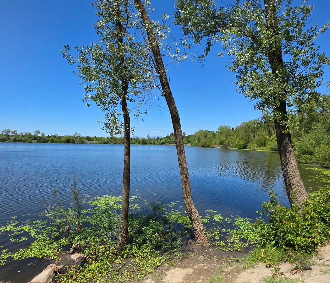 Riverfront Regional Park Picnic Area 2