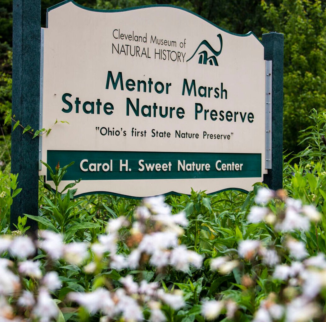Mentor Marsh: Second Saturday Science 2