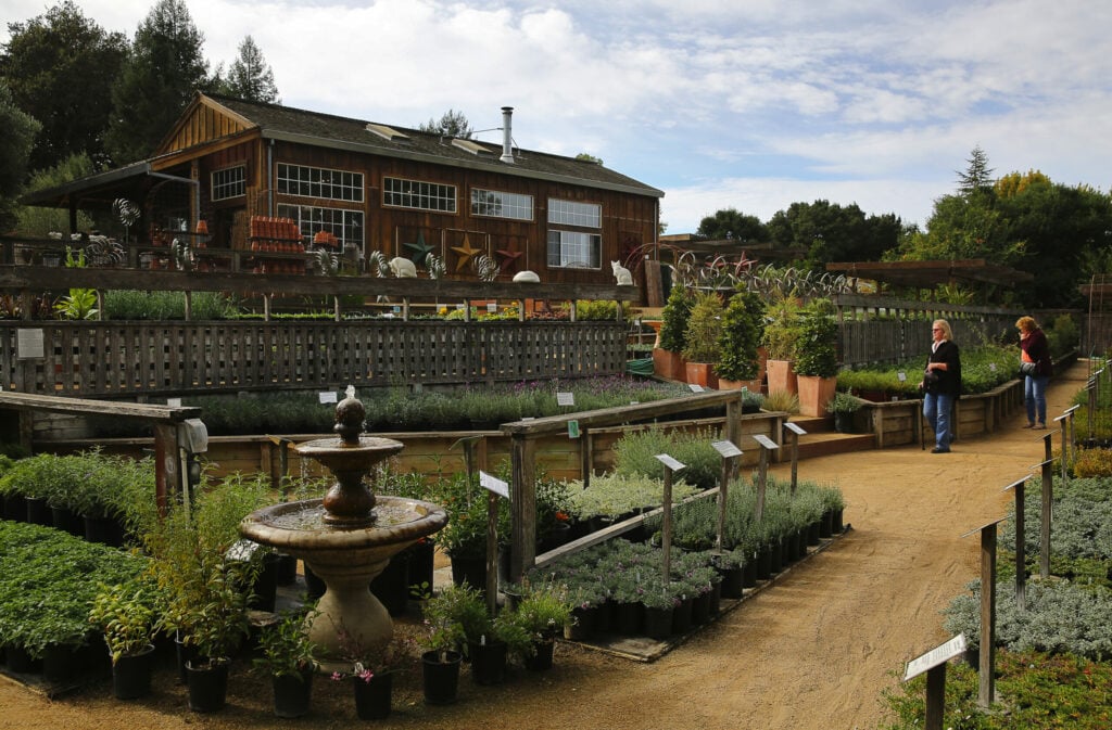 Cottage Gardens of Petaluma, Inc. 2