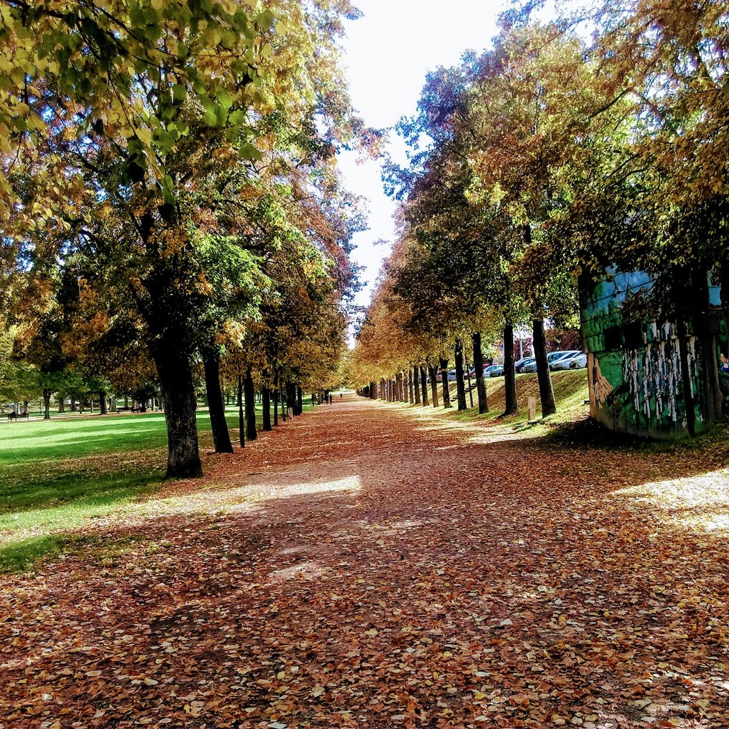 Parc des Noues 3