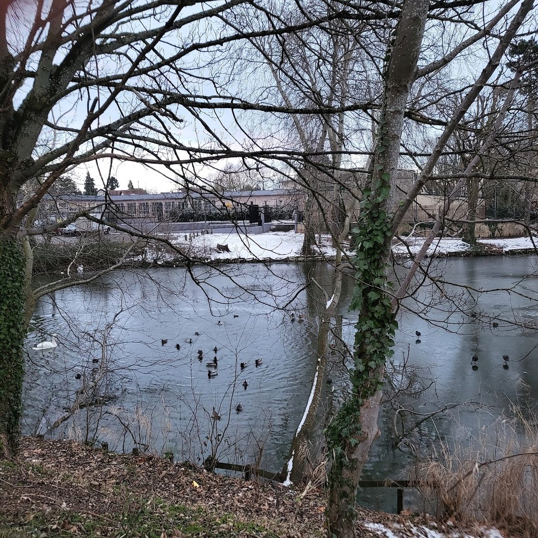 Montfermeil 3