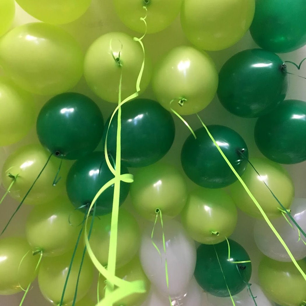Bernie's Party Land 3