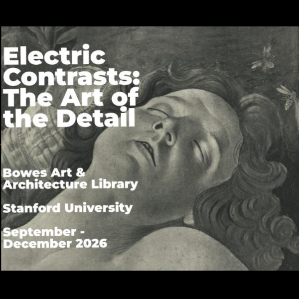 Electric Contrasts: the Art of the Detail