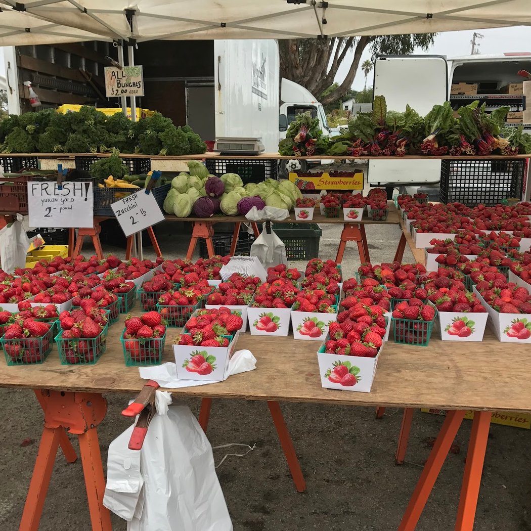 Live Oak Farmer's Market 3
