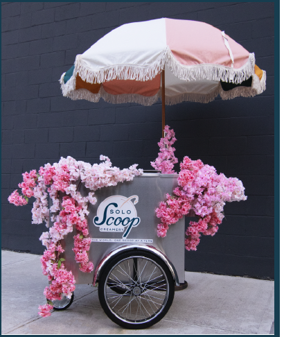 Solo Scoop Creamery 3