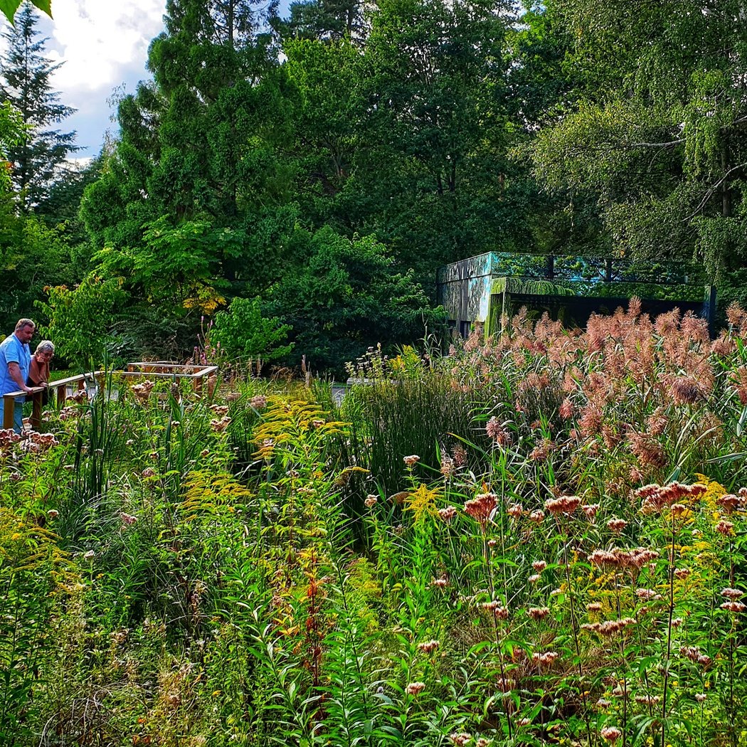 Rendez-vous aux Jardins 2026 2
