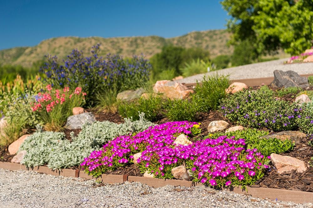 Seasonal Discoveries at Chatfield Farms 3