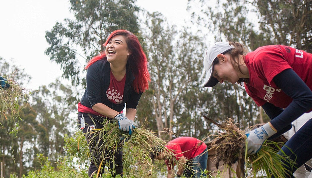 Presidio Habitat Stewards 1