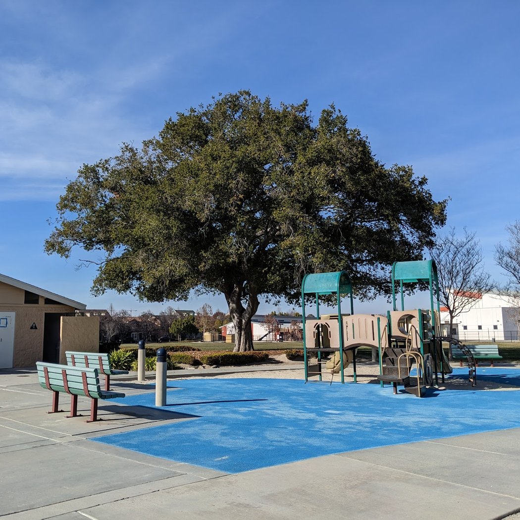 Live Oak Park 2