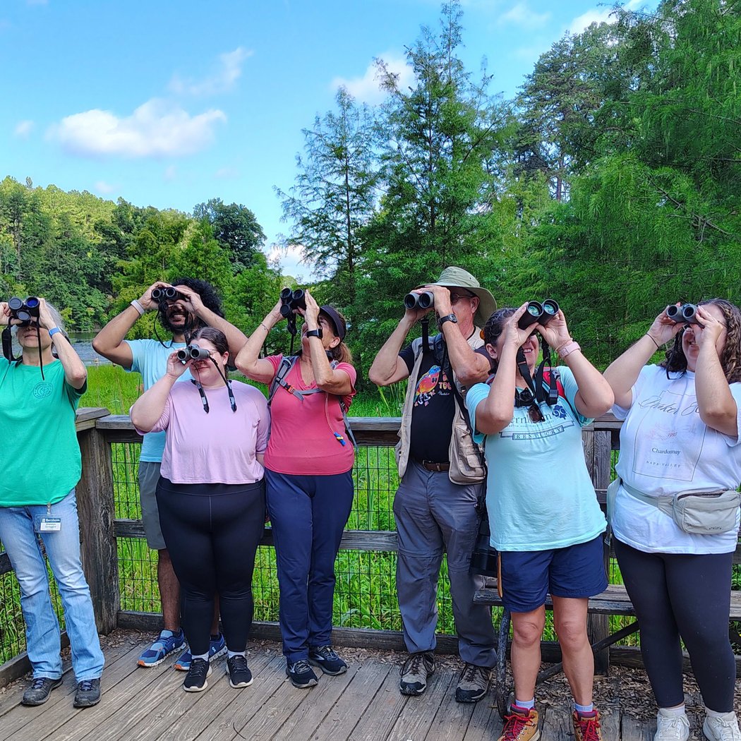 Birding for Beginners 1