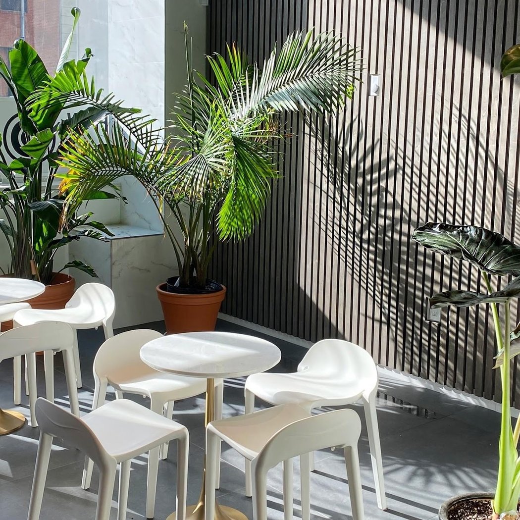 White Noise Coffee - Coffee Shop & Roastery 2