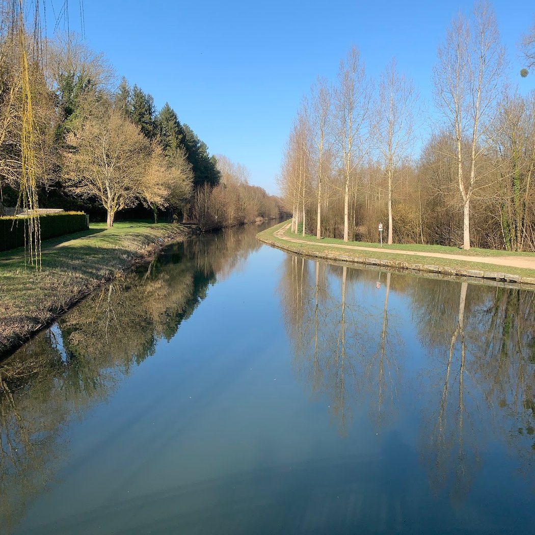 Sortie nature : à la découverte d’un marais exceptionnel 1