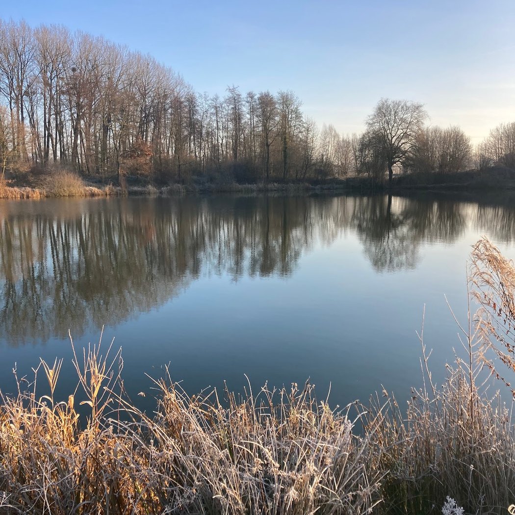 Domaine des étangs du bois de L’abbaye 1