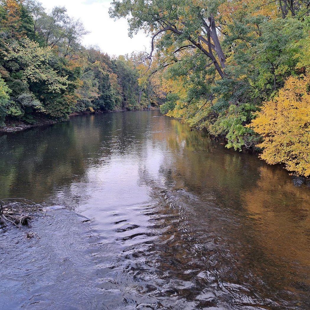 Frog Island Park 1