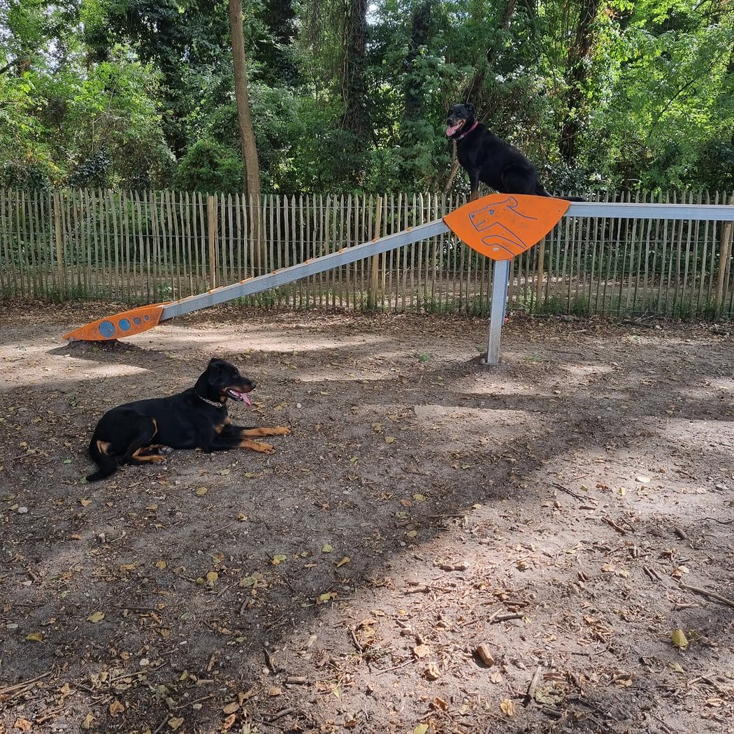 Le parc canin du Burck 3