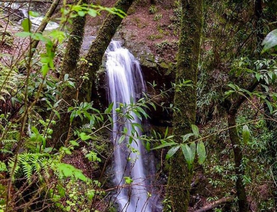 Dawn Falls Trail 4
