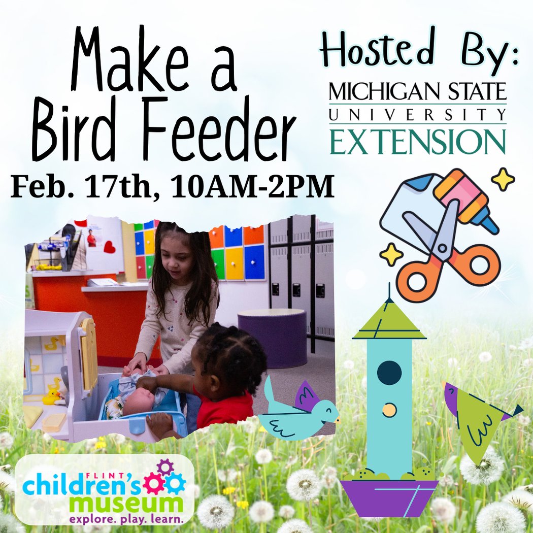 MSU Bird Feeders 1