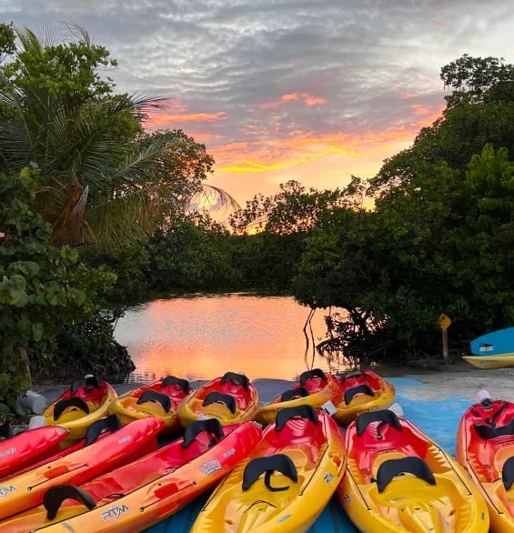 Oleta River State Park 2