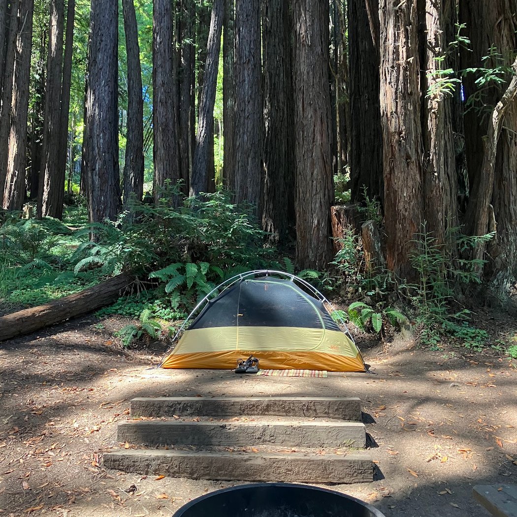 Pomo Canyon Environmental Camp 2