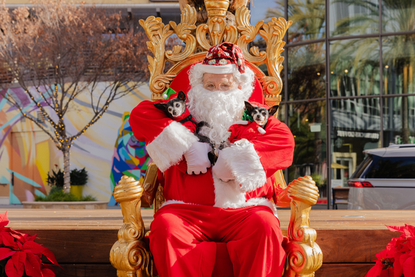 Santa Paws 1