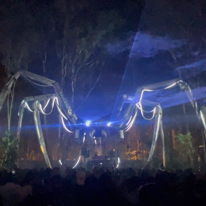 Echoes of Earth Festival 3