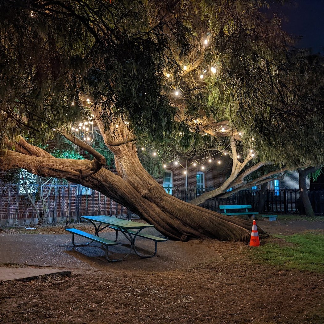 Muriel Leff Mini Park 1