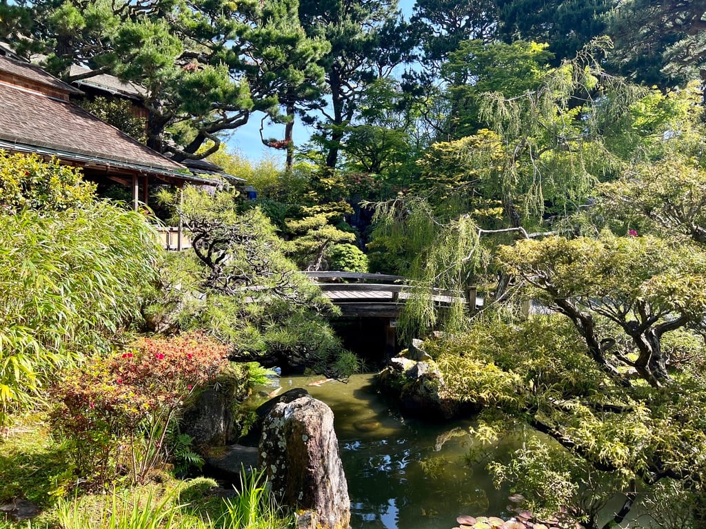 Japanese Tea Garden 3